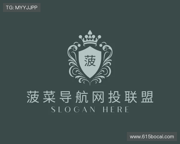 了解菠菜导航网投联盟